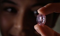 Pink diamond fetches 26.6 million USD at Sotheby's Geneva sale