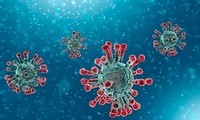 COVID-19 infection gives some immunity for at least five months, UK study finds