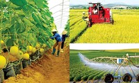 Vollversammlung der Partner zur nachhaltigen Entwicklung der Landwirtschaft in Vietnam