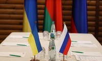 Ukraine-Russia talks start via video link 