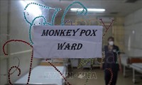 WHO says monkeypox is still an int'l public health emergency