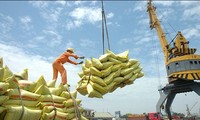 Rice export prices surge