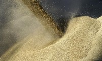 Russia ready to return to Black Sea grain deal if what concerns Moscow is implemented