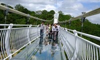 Da Lat’s first glass bridge opens