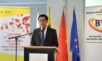 Badan usaha Belgia memperkuat kerjasama hubungan perdagangan dengan Vietnam
