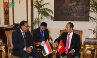 Presiden Tran Dai Quang melakukan pertemuan dengan para Pemimpin Mesir