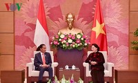Ketua MN Vietnam, Nguyen Thi Kim Ngan melakukan pertemuan dengan Presiden Indonesia, Joko Widodo
