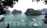 Vietnam telah bersedia menyambut dan memimpin Forum Pariwisata ASEAN 2019