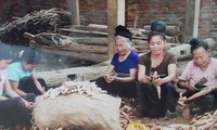 Faktor-faktor mempengaruhi perkembangan sosial-ekonomi dari warga etnis minoritas di Vietnam