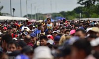 AS menangkap ratusan migran ilegal