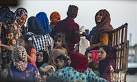 Turki menyerang orang Kurdi di Suriah: PBB sangat mengkhawatirkan situasi kemanusiaan