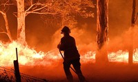    Komunitas Internasional Bersinergi Memberikan Bantuan Dalam Menghadapi Kebakaran Hutan di Australia