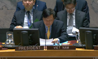 Vietnam memimpin sidang DK PBB untuk membahas situasi Yaman