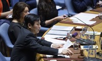 Vietnam Memimpin Perbahasan DK PBB tentang Situasi Israel dan Palestina