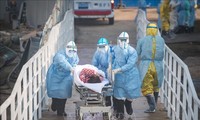 Wabah radang pernapasan akut karena virus Corona: Tiongkok membolehkan AS mengirim pakar kesehatan ke Wu Han