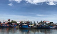 Provinsi Quang Ngai: Kaum nelayan dengan aktif memasang alat pengawasan kapal ikan