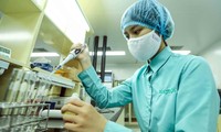 Vietnam melakukan uji coba injeksi vaksin pencegah Covid-19 ke tikus