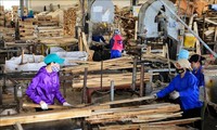 Pengolahan dan ekspor kayu Vietnam berinisiatif mencari pasar, mencapai target sebanyak12 miliar USD