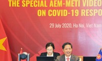ASEAN 2020: Mengesahkan rencana aksi pemulihan ekonomi ASEAN-Jepang