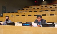 Vietnam dan DK PBB membahas situasi politik yang bergejolak di Guinea-Bissau