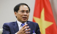Instansi Diplomatik Berikan Sumbangsih pada Prestasi Bersama Hubungan Luar Negeri Vietnam