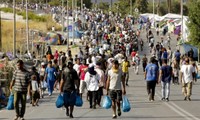 Sepuluh Negara Anggota Uni Eropa Setuju untuk Berpartisipasi dalam Rencana Relokasi Pengungsi
