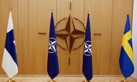 Senat AS Berikan Suara untuk Sahkan Finlandia dan Swedia Masuk ke NATO