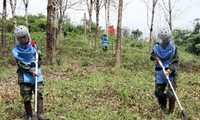 Delegation der Organisation Peace Trees Vietnam besucht Vietnam