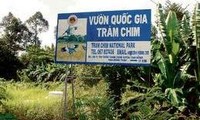 Tram Chim-Nationalpark wird internationales Biosphärenreservat