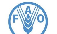 FAO-Konferenz: verstärkte Nahrungsmittelsicherheit und Armutsbekämpfung
