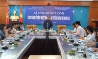 Veröffentlichung des Weißbuchs über IT-Branche Vietnams 2012