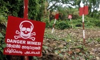 Vereinte Nationen appellieren für verstärkte Minenräumung