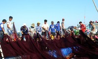 Fischernetz für Fischer auf Inselgruppen Hoang Sa und Truong Sa