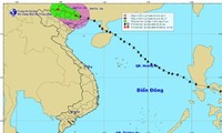 Quang Ninh reagiert gut auf den Taifun Rammasun
