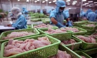 Vietnam ist der größte Fischexporteur Kolumbiens