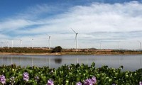 Tran Thanh Thanh engagiert sich für Stromerzeugung durch die Windkraft 