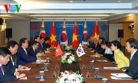 Gespräch zwischen dem Premierminister Nguyen Tan Dung und Südkoreas Präsidentin Park Geun-hye