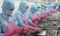 Antidumpingzölle gegen Garnelen aus Vietnam werden gesenkt