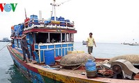 Fischer in Khanh Hoa beharren auf Fischfang im Meeresgebiet Truong Sa und Hoang Sa
