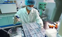 Nationalverwaltungssystem über Impfstoff Vietnams erreicht Standard der WHO