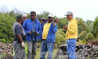 Ermittlungsbehörden beschäftigen sich weiter mit der Begutachtung von Wrackteilen auf La Réunion