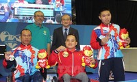 Vietnamesische Sportler erreichen 15 Goldmedaillen bei ASEAN Para Games 8