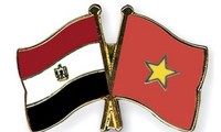 Botschafter Do Hoang Long legt dem ägyptischen Präsident Beglaubigungsschreiben vor