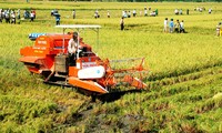 Umstrukturierung der Landwirtschaft in Vietnam für die Weiterentwicklung