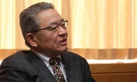 Leiter der Kommunistischen Partei Japans hebt Erfolge Vietnams hervor