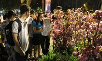 Eröffnung des Sakura-Festes in Ho Chi Minh Stadt