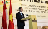 Staatspräsident Tran Dai Quang nimmt am Vietnam-Singapur-Unternehmensforum teil