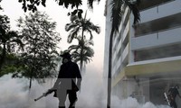 Warnung vor Verbreitung von Zika-Virus in Asien-Pazifik