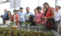 Auslandsvietnamesen setzen sich für die Entwicklung der Wissenswirtschaft in Ho Chi Minh Stadt ein