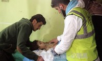 Syrische Regierung weist OPCW-Bericht über den Einsatz von Chemiewaffen zurück
